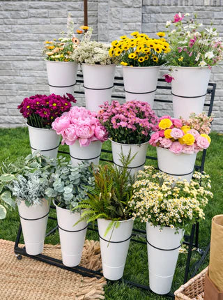 Collection of potted plants and flowers on a stand outdoors.