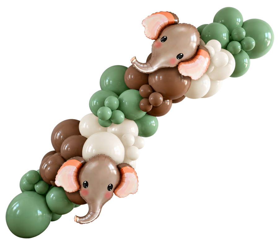 Wild One DIY Balloon Garland Kit